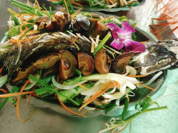 nấu ăn tại nhà bình chánh